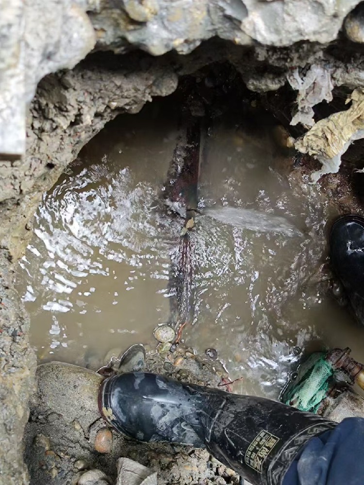 岷县地区绿化水管漏水检测维修
